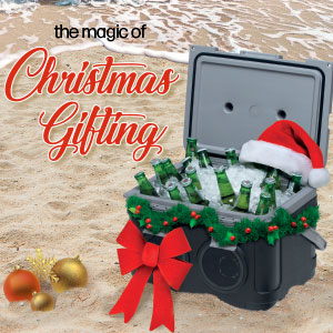 Christmas Gift Ideas