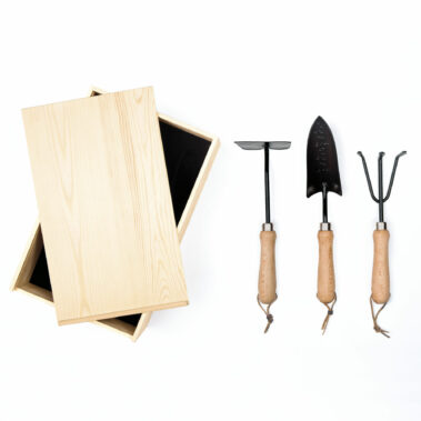 Tools and Box Top View