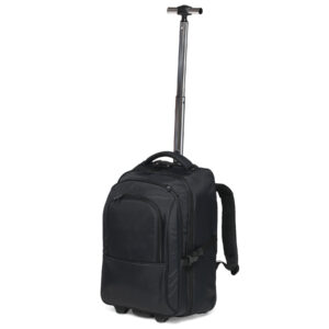 22" Telescopic handle